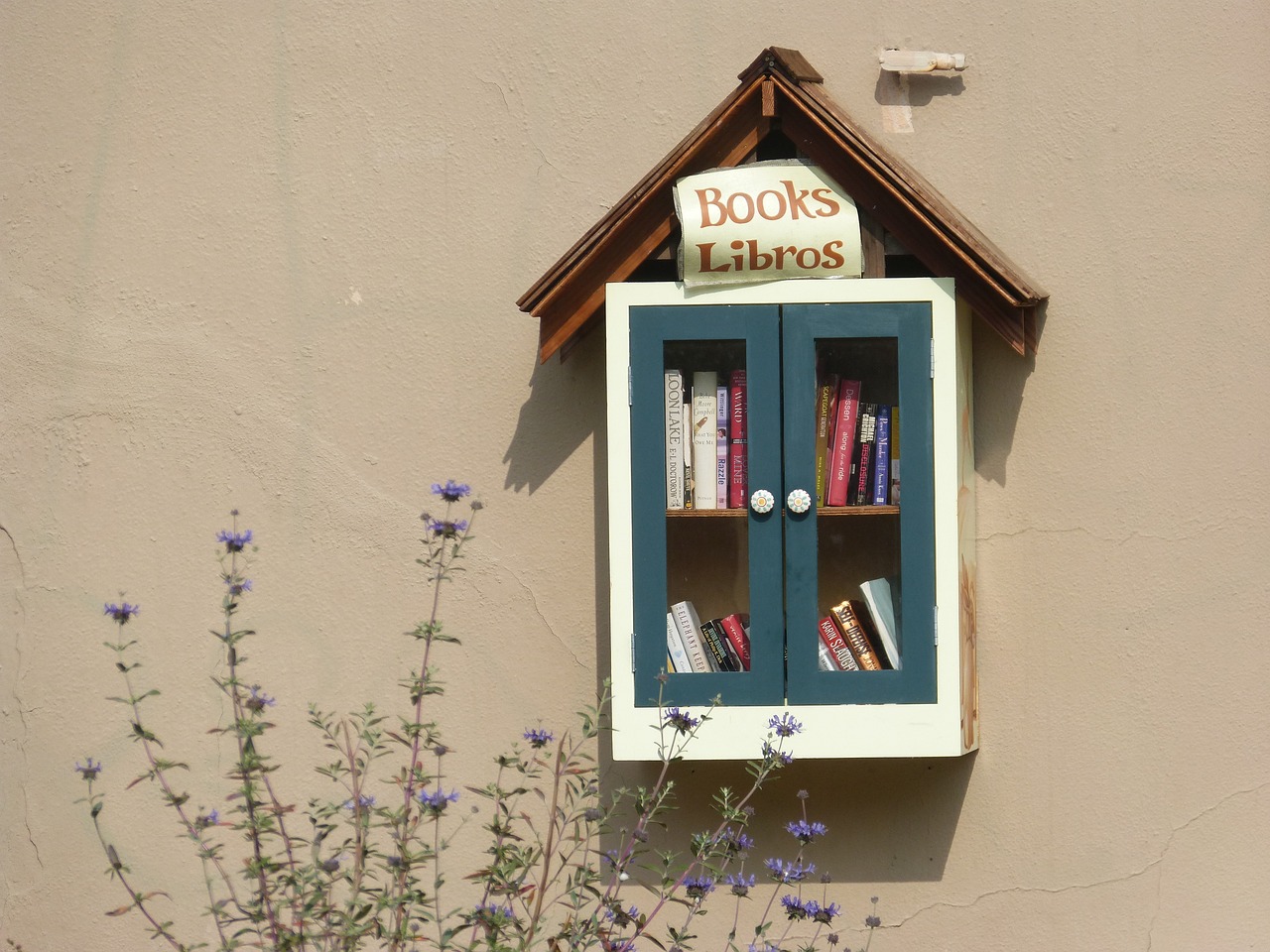 Best Practices for Organizing Your Home Library